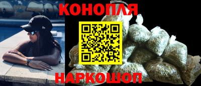 индика Обь