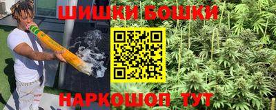 индика Обь