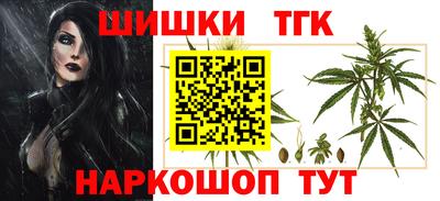 индика Обь