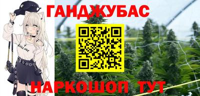 индика Обь