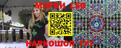 индика Обь